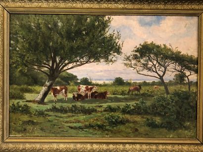 Valère LEFEBVRE (1902-?)

Vaches dans un...