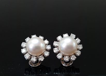 Paire de clips d'oreille en or 750°/00 et...