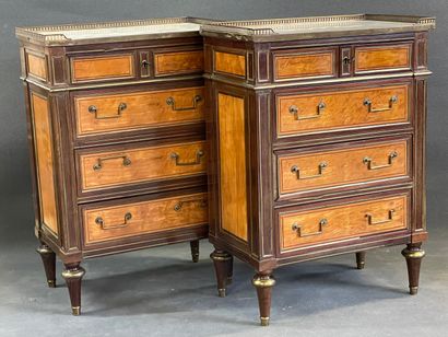 Paire de commodes étroites en placage de...
