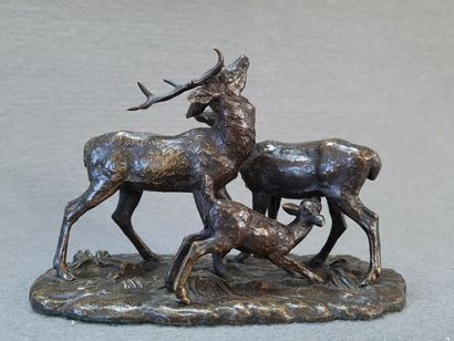 Antoine-Louis BARYE (1796-1875) d'après

Cerf,...