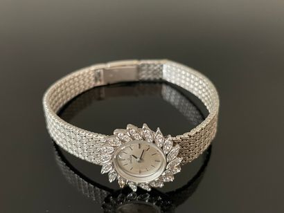 Montre de dame en or gris, cadran serti de...