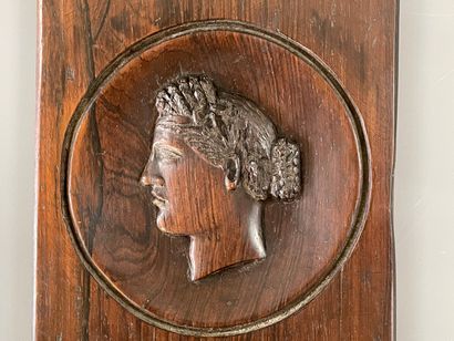 Plaque en palissandre sculptée d'un profil...