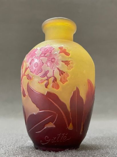 Etablissement GALLÉ.

Petit vase dégagé à...