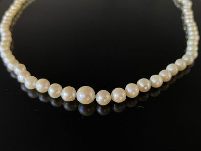 Collier de perles, fermoir or.

Perles diamètre:...