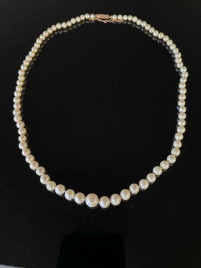 Collier de perles, fermoir or.

Perles diamètre:...
