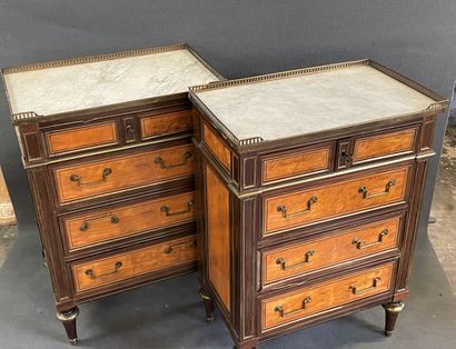 Paire de commodes étroites en placage de...