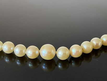 Collier de perles, fermoir or.

Perles diamètre:...