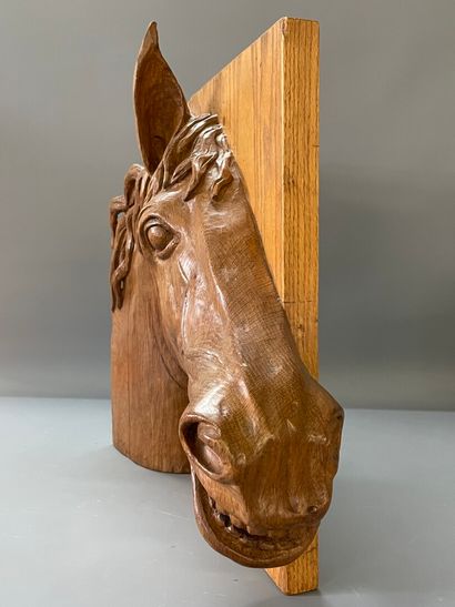 Ecole Française XX°

Importante tête de cheval...