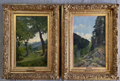 Jean DESBROSSES (1835-1906)

La Vallée aux...