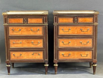 Paire de commodes étroites en placage de...