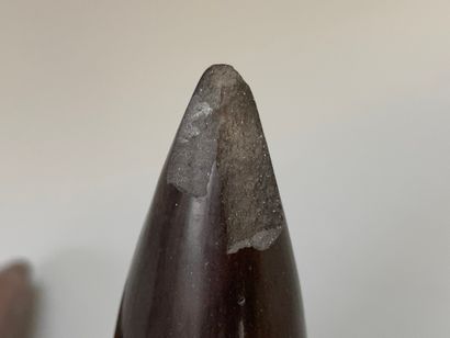 Nadia PASQUER (1940)

Deux sculptures en...