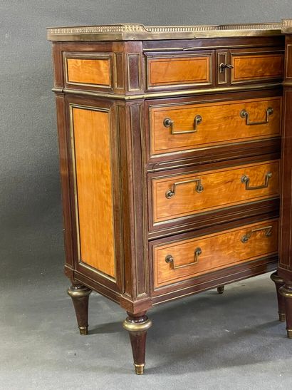 Paire de commodes étroites en placage de...