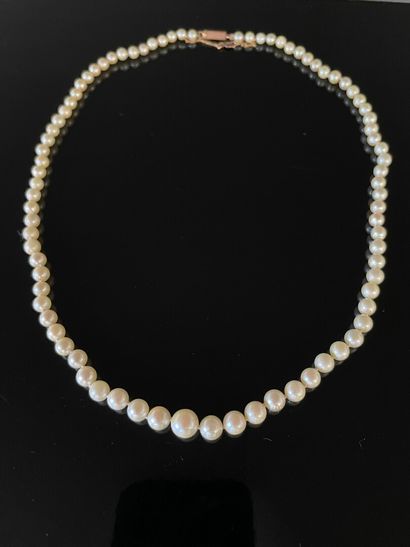 Collier de perles, fermoir or.

Perles diamètre:...