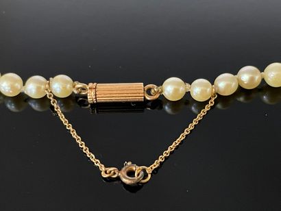 Collier de perles, fermoir or.

Perles diamètre:...