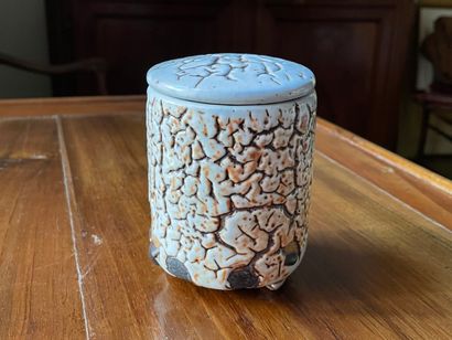 ZOU ( Rozenn Bigot)

Petit pot couvert en...