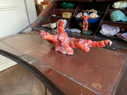 Branche de corail rouge naturel.

13 x 27...
