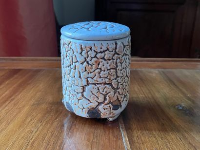 ZOU ( Rozenn Bigot)

Petit pot couvert en...