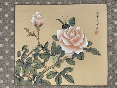 Douze peintures sur soie à décor de végétaux...