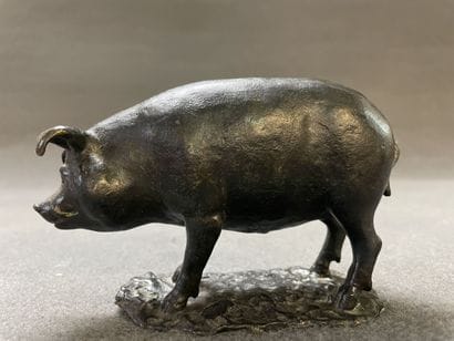 Cochon.

Epreuve en bronze patiné. fonte...
