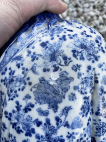 Buveur en porcelaine blanche et bleue de...