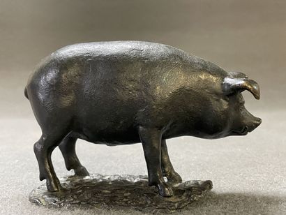 Cochon.

Epreuve en bronze patiné. fonte...