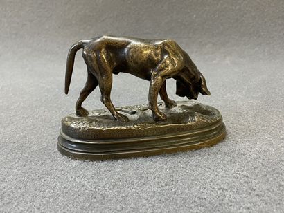 Alfred DUBUCAND (1828-1894)

Chien de chasse.

Epreuve...