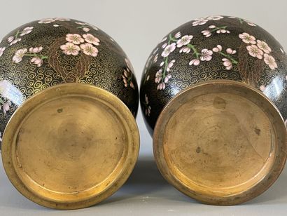Paire de vases en émaux cloisonnés. 

H....