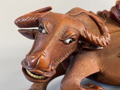 Paire de buffle et personnages sur leur dos...