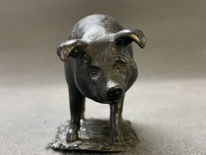 Cochon.

Epreuve en bronze patiné. fonte...