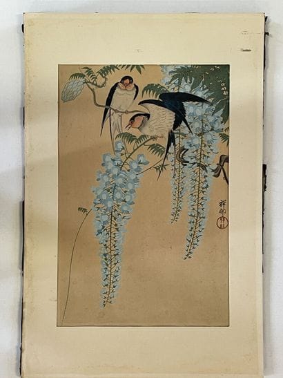 Aquarelle japonaise d'oiseaux sur papier.

39...