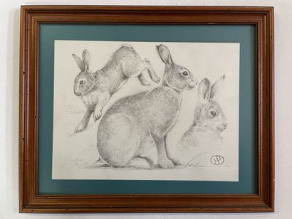 Blaise PRUD'HON ( artiste contemporain)

Lapin.

Dessin

24...