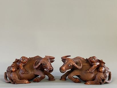 Paire de buffle et personnages sur leur dos...