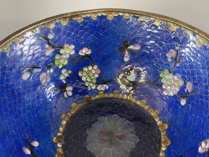 Bol en émail translucide bleu, dans un cloisonné.

Chine...