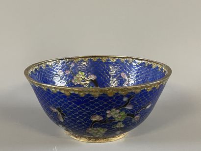 Bol en émail translucide bleu, dans un cloisonné.

Chine...