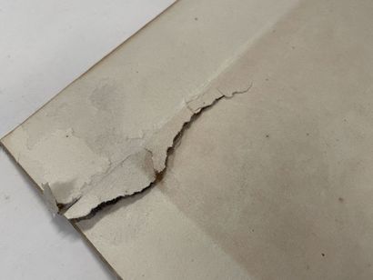Douze peintures sur soie à décor de végétaux...