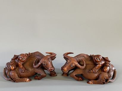 Paire de buffle et personnages sur leur dos...
