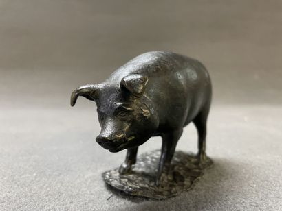 Cochon.

Epreuve en bronze patiné. fonte...