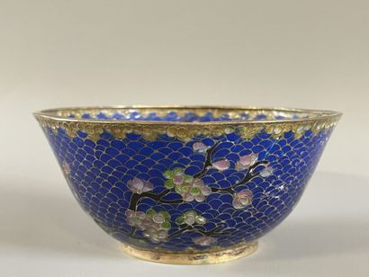 Bol en émail translucide bleu, dans un cloisonné.

Chine...