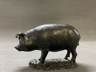 Cochon.

Epreuve en bronze patiné. fonte...