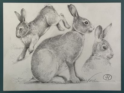 Blaise PRUD'HON ( artiste contemporain)

Lapin.

Dessin

24...