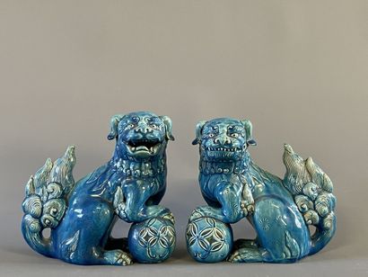 Paire de chiens de fo en porcelaine émail...