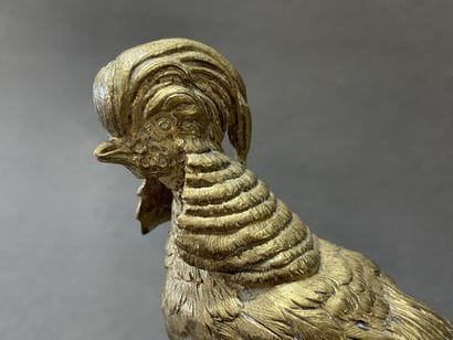 Henri Emile Adrien TRODOUX (XIX)

Coq faisan...