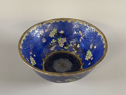Bol en émail translucide bleu, dans un cloisonné.

Chine...