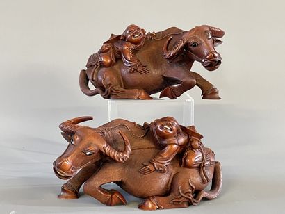 Paire de buffle et personnages sur leur dos...