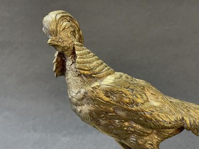 Henri Emile Adrien TRODOUX (XIX)

Coq faisan...