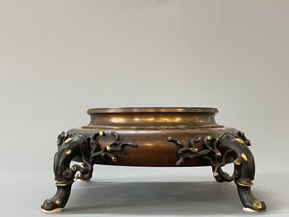 Beau socle en bronze patiné, pieds naturalistes.

Fin...