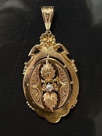 Broche pendentif en or 750°/00, sertie d'une...