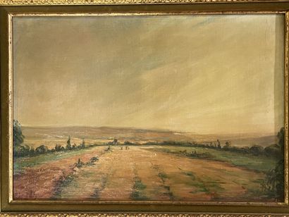 Lucien MIGNON (1865-1944)

Paysage d'Ile...