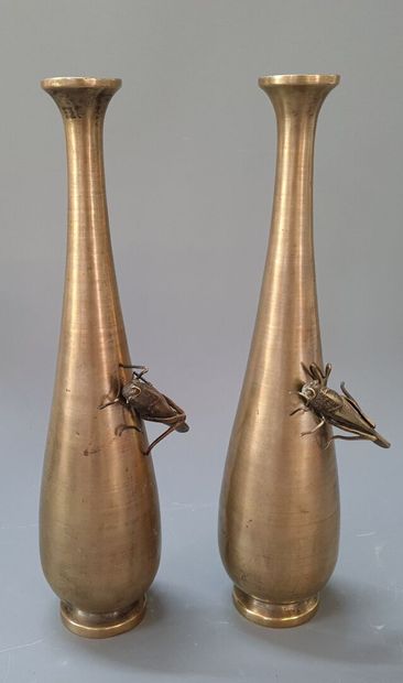 Paire de vases en bronze avec criquets

Japon...