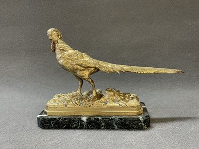 Henri Emile Adrien TRODOUX (XIX)

Coq faisan...